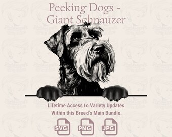 Giant Schnauzer Line Art: SVG, PNG, JPG (Transparent + White Background)