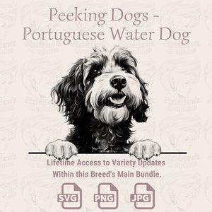 Peeking Dogs Portuguese Water Dog -  | SVG | PNG | JPG |  Transparent + White Background - Planner, Stickers, Print on Demand