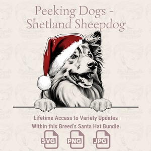 Spähende Hunde Shetland Sheepdog Weihnachtsmütze - | SVG | PNG | JPG | Viele Variationen - Planer, Einladungen, Sticker, Print on Demand