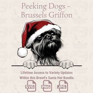 Peeking Dogs Bruxelles Griffon Santa Hat - / SVG / PNG / JPG / Molte varianti - Planner, Inviti, Adesivi, Stampa su richiesta