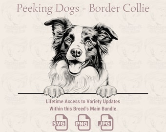 Border Collie Line Art: Peeking Dog SVG PNG JPG (Digital Download)