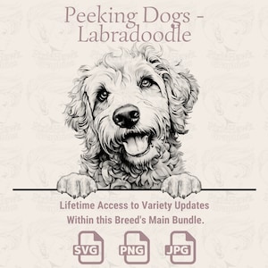 Spähende Hunde Labradoodle - | SVG | PNG | JPG | Transparent + Weißer Hintergrund - Planer, Einladungen, Aufkleber, Print on Demand
