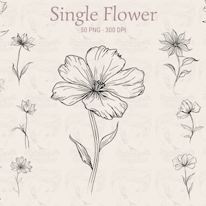 Dessin au trait fleur unique - 50 Images PNG, 300 DPI, fond Transparent - planificateur, Invitations, autocollants, impression à la demande