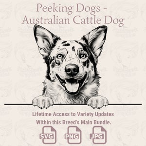 Spannende Hunde Australian Cattle Dog - | SVG | PNG | JPG | Transparent + Weißer Hintergrund - Planer, Einladungen, Aufkleber, Print on Demand