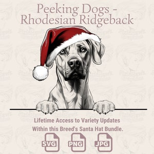 Spähende Hunde Rhodesian Ridgeback Weihnachtsmütze - | SVG | PNG | JPG | Viele Variationen - Planer, Einladungen, Sticker, Print on Demand