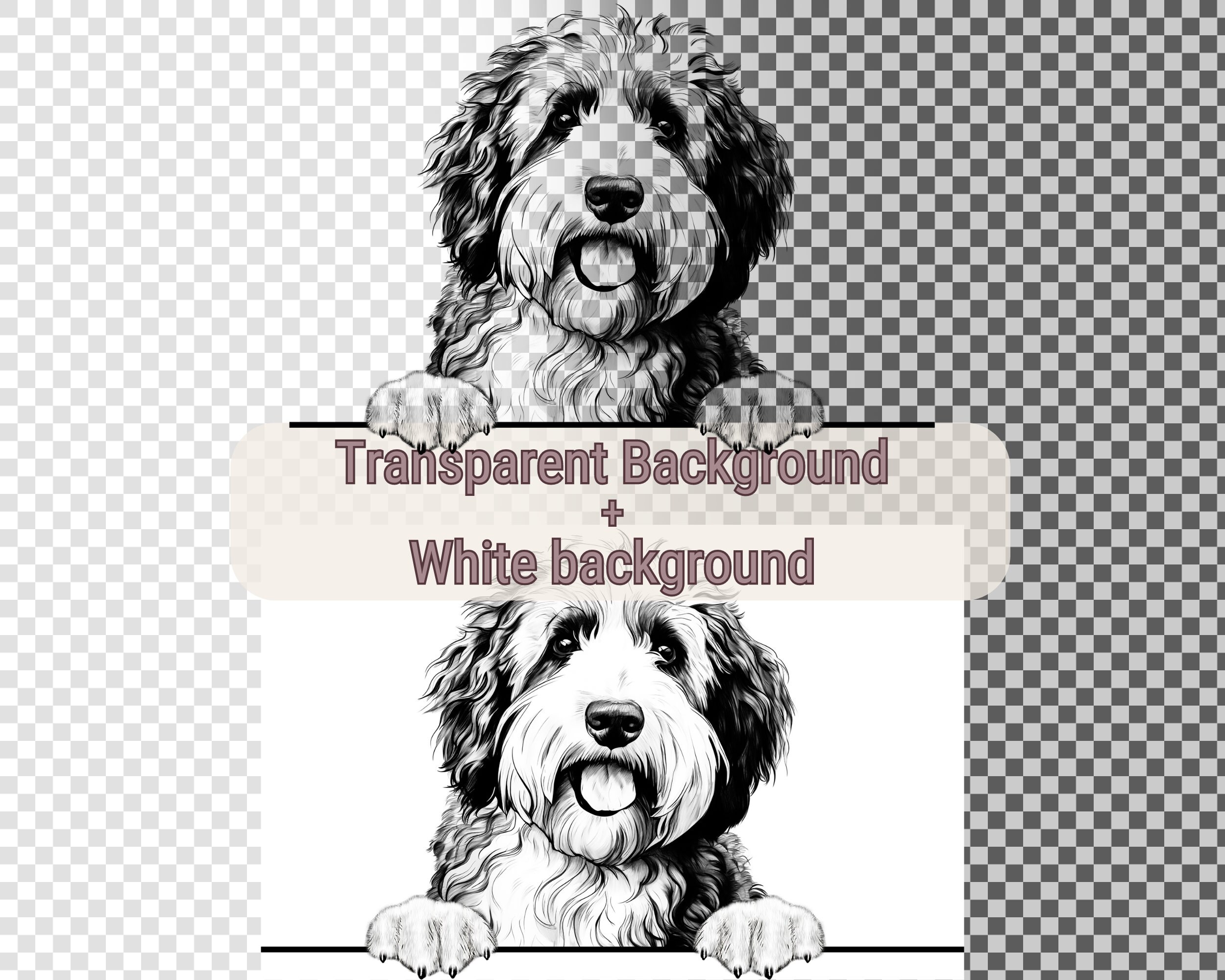 Sheepadoodle Peeking Dog Line Art (SVG, PNG, JPG) - Etsy