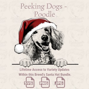 Peeking Dogs Poodle Santa Hat - / SVG / PNG / JPG / Muchas variaciones - Planificador, Invitaciones, Pegatinas, Impresión bajo demanda