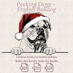 Peeking Dogs Bouledogue anglais Bonnet de Noel - | SVG | PNG | JPG | De nombreuses variantes - planificateur, invitations, autocollants, impression à la demande