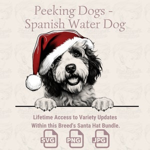 Spähende Hunde Spanischer Wasserhund Weihnachtsmütze - | SVG | PNG | JPG | Viele Variationen - Planer, Einladungen, Sticker, Print on Demand