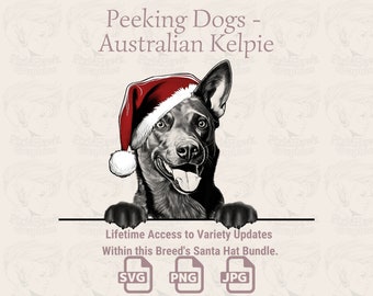 Australian Kelpie Santa Hat Peeking Dogs (SVG, PNG, JPG)