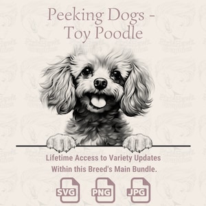 Peeking Dogs Toy Poodle -  | SVG | PNG | JPG |  Transparent + White Background - Planner, Invitations, Stickers, Print on Demand