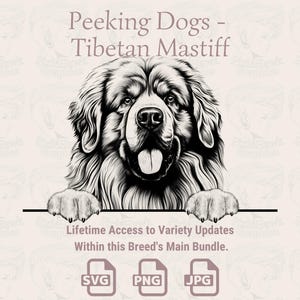 Cães Espiando Mastim Tibetano - | SVG | PNG | JPG | Transparente + Fundo Branco - Agenda, Convites, Adesivos, Impressão sob Demanda