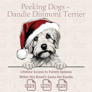 Spähende Hunde Dandie Dinmont Terrier Weihnachtsmütze - | SVG | PNG | JPG |  Viele Variationen - Planer, Einladungen, Aufkleber, Print on Demand