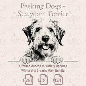 Cães Espiando Sealyham Terrier - | SVG | PNG | JPG | Transparente + Fundo Branco - Agenda, Convites, Adesivos, Impressão sob Demanda