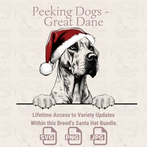 Spähende Hunde Deutsche Dogge Weihnachtsmütze - | SVG | PNG | JPG | Viele Variationen - Planer, Einladungen, Sticker, Print on Demand