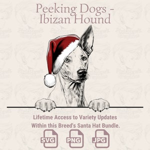 Peeking Dogs Ibizan Hound Santa Hat - / SVG / PNG / JPG / Molte varianti - Planner, Inviti, Adesivi, Stampa su richiesta