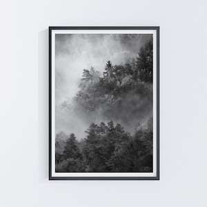 雲霧林、森林風景、インスタントダウンロード、白黒写真、壁の装飾、モダンなウォールアート、旅行ポスター、アートプリント、キャンバス