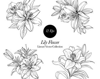 May include: A set of four black and white line drawings of lily flowers. The drawings are in a vector format and are perfect for use in digital or print projects.