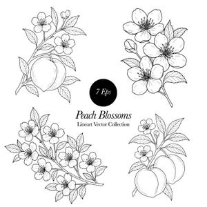 May include: Black and white line art illustration of peach blossoms and peaches. The image includes four arrangements of peach blossoms and peaches, with the text "Peach Blossoms Lineart Vector Collection". A black circle with the text "7 Eps" is also included.