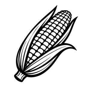May include: Black and white illustration of an ear of corn. The corn is depicted with detailed rows of kernels, surrounded by overlapping leaves. The image is a simple, graphic representation of a common food item.