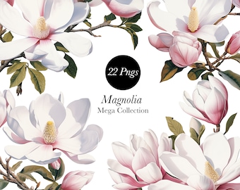 Clipart di magnolia ad acquerello: illustrazioni floreali bianche (22 PNG)