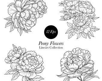 Peony Line Art Clipart: Floral SVG, PNG, Vector (Digital Download)