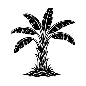 Illustrazione digitale di una pianta di banano, pianta tropicale (download digitale)