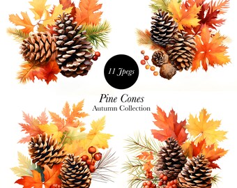 Autumn Pine Cone Clipart: Scrapbook Planner Graphics (Digital Download)