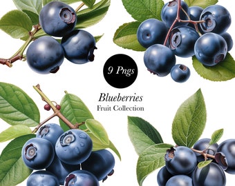 Blueberry Clipart: Watercolor Illustration Set (PNG)