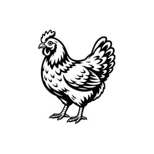 Puede incluir: Ilustración en blanco y negro de una gallina de perfil. La gallina está representada con plumas detalladas, una cresta, barbillas y garras afiladas. La imagen es una representación clásica y estilizada de un animal de granja.
