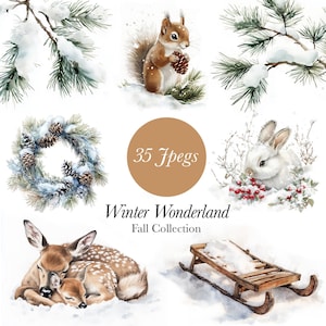 Winter Wonderland Clipart , watercolor winter clipart, winter animals, woodland, winter png graphics, pine trees, winter woodland, diary