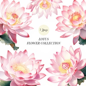 Lotus Clipart 7 Jpegs-collectie, aquarel Lotus, Lotus illustratie, Lotus clipart, Planners, DIY Scrapbook