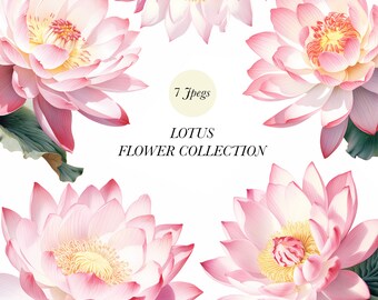 Watercolor Lotus Clipart: 7 JPEGs Floral Illustration (Digital Download)