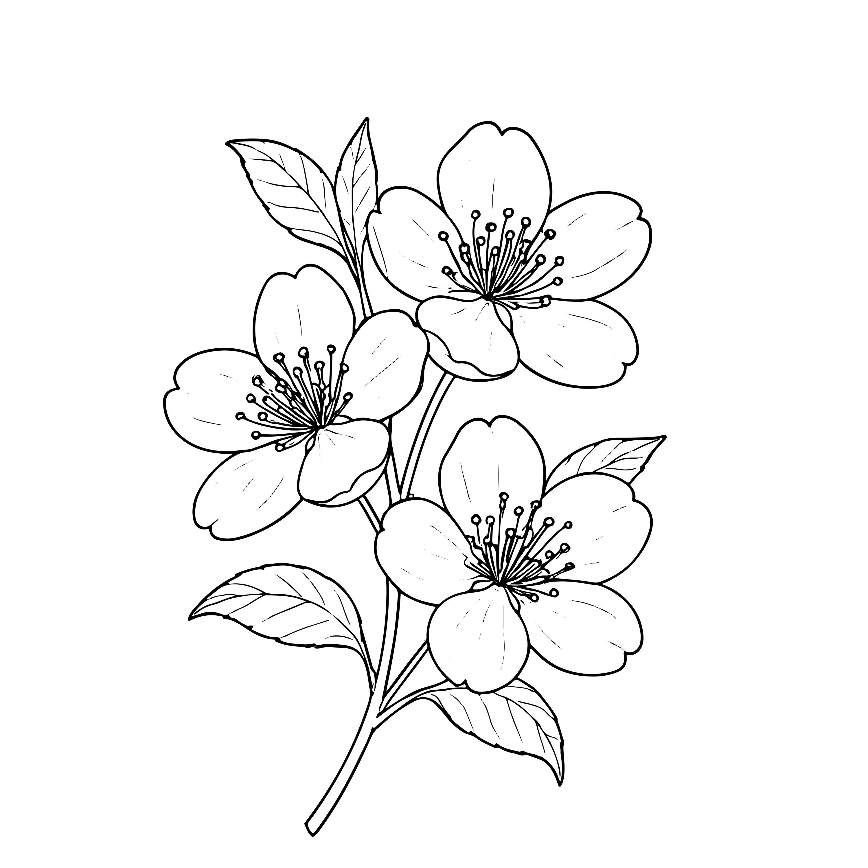 桃の花の線画クリップアート：花柄SVG、PNG、ベクター（商用利用可