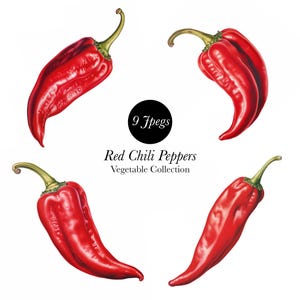 Clipart de piment rouge : collection d&#39;illustrations (JPEG)