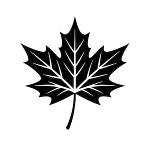 Pode incluir: Gráfico a preto e branco de uma folha de bordo. A folha é estilizada com veias detalhadas e um caule. O design simétrico é colocado sobre um fundo branco.