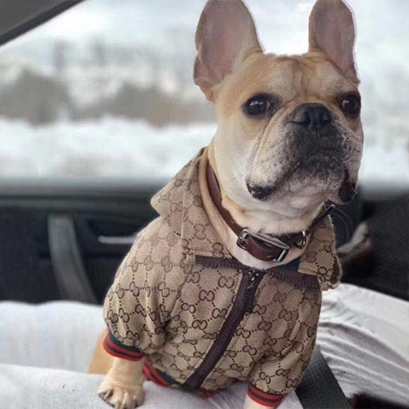 Gucci Dog Clothes - Etsy