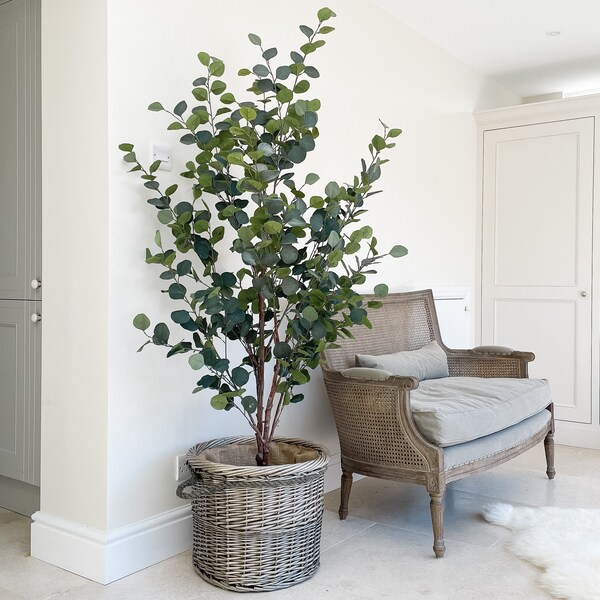 Faux Large Eucalyptus Tree 180cm