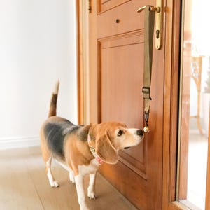 Puede incluir: Un perro beagle marrón y blanco con un collar floral está oliendo una manija de puerta con una campana unida a una correa marrón. El perro está de pie sobre un suelo de madera.