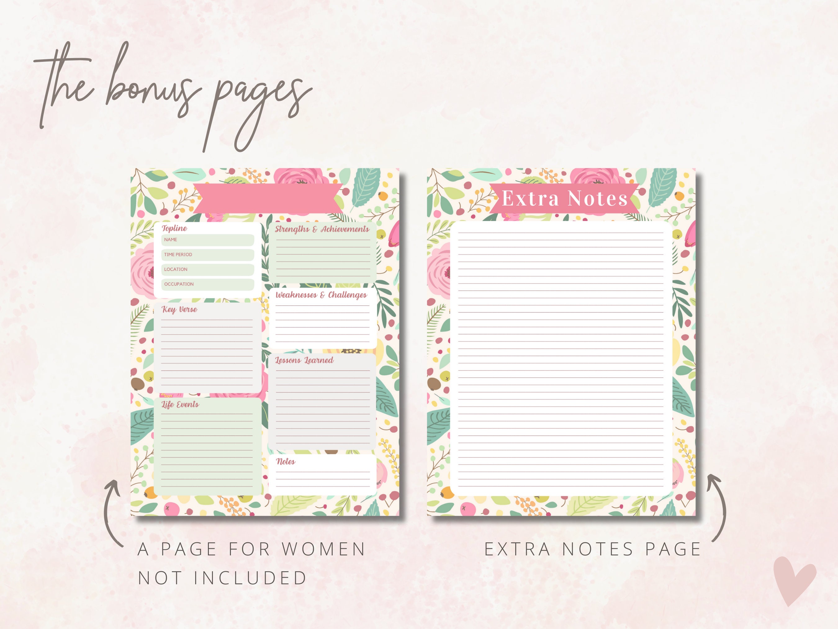Women of the Bible Study Pack, Female Biblical Character Study ...