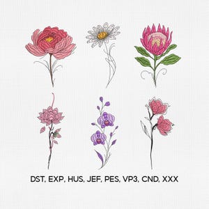 Può includere: Una collezione di sei disegni per ricamo floreale con una peonia rosa, una margherita bianca, una protea rosa, un loto rosa, un'orchidea viola e fiori rosa. Il testo DST, EXP, HUS, JEF, PES, VP3, CND, XXX è stampato nella parte inferiore.