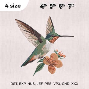 4 Size Hummingbird and Flower Embroidery Design, Hummingbird Embroidery Design, Bird Embroidery Design, Embroidery Machines File