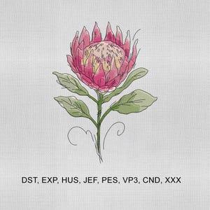 Op de afbeelding: Geborduurd protea bloemontwerp met roze bloemblaadjes, een gele kern en groene bladeren op een witte achtergrond. De stengel is groen en het ontwerp bevat fijne zwarte lijnkunst. De tekst luidt: DST, EXP, HUS, JEF, PES, VP3, CND, XXX.