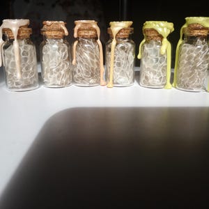 Pot en peau de serpent || Cachet de cire de source éthique fait main en peau de serpent