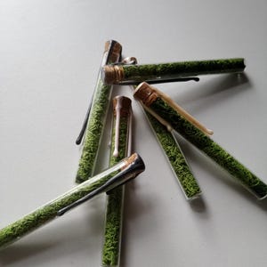 Pode incluir: Cinco pequenos tubos de vidro cheios de musgo verde e selados com rolhas de cortiça. Alguns dos tubos têm detalhes em preto ou dourado.
