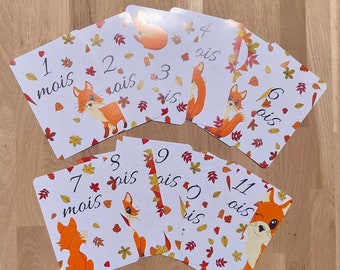 Cartes étapes bébé - thème renard