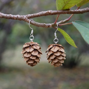 Può includere: Un paio di orecchini con piccole pigne marroni sospese a ganci color argento. Gli orecchini sono appesi a un ramo d'albero, con foglie verdi sullo sfondo. Le pigne hanno un aspetto stratificato e strutturato.