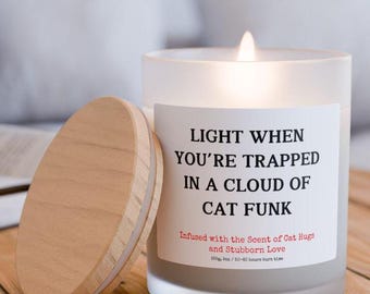 Vela Light Me When The Cat, regalo de vela para dueños de gatos para mamás gatas, huele como un regalo divertido para amantes de los gatos, idea única de regalo de cumpleaños para gatos