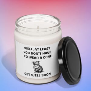Funny After Surgery Capybara Nontoxic Candle, Post Surgery Care Gift, Cheer Up For Sick Friend, Hysterectomy Gift, Knee Surgery Recovery