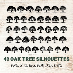 Paquete SVG de 40 robles, colección Woodland Forest de silueta de roble PNG, diversidad de robles para proyectos escolares, ideas artesanales para elementos de la naturaleza